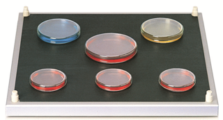 Non-slip mat for Shakers